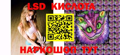 спиды Обь