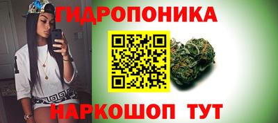 спиды Обь
