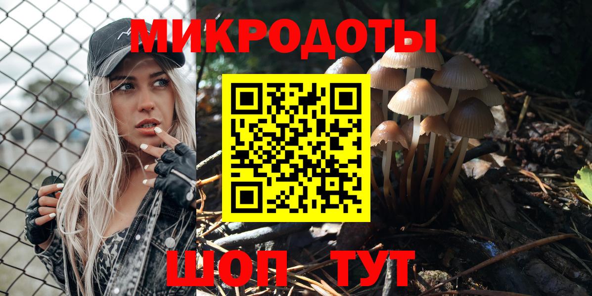 Галлюциногенные грибы Psilocybine cubensis Пушкино